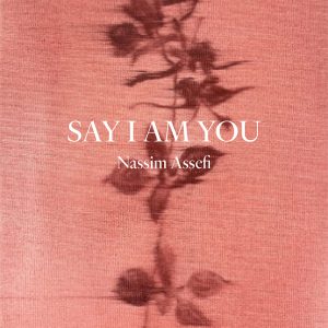 Say I Am You