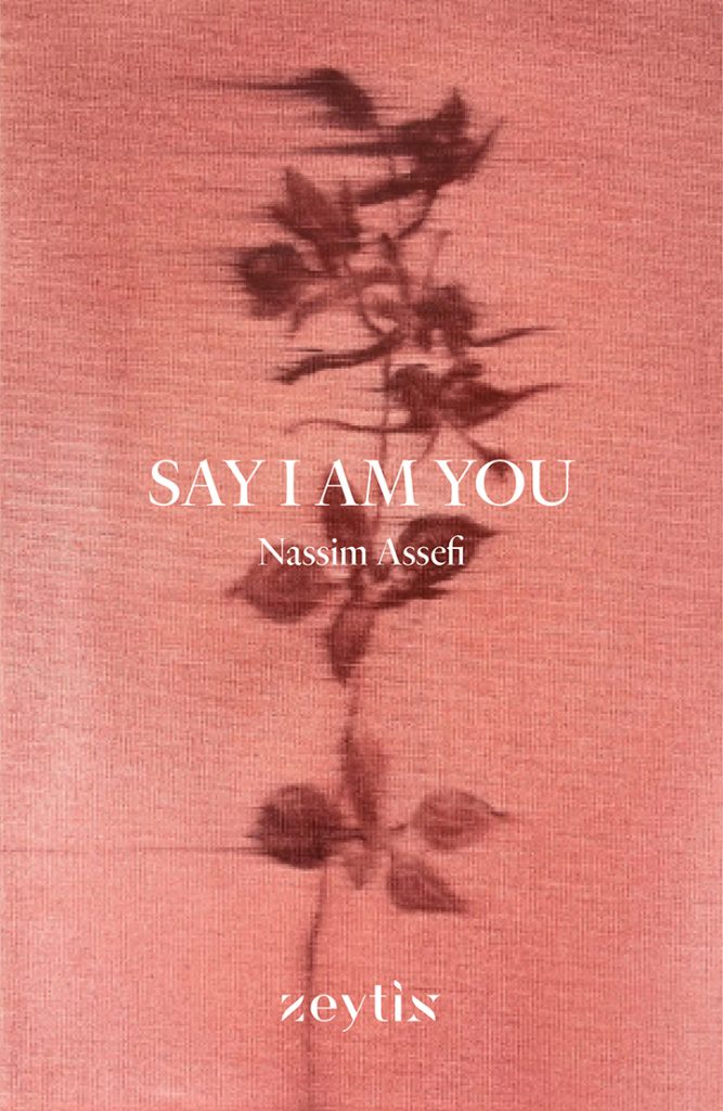 Say I Am You